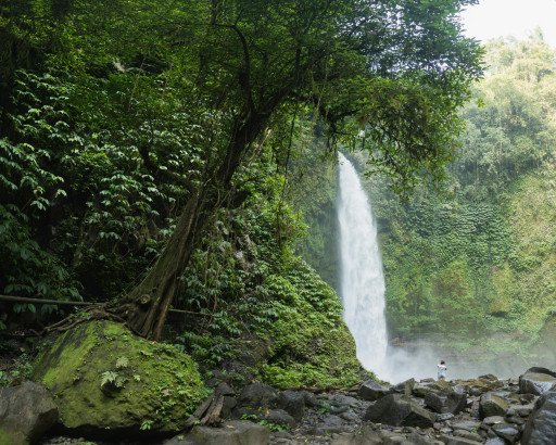 The Ultimate Guide to a Breathtaking Manu Jungle Adventure
