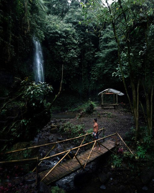 Manu Jungle Adventure
